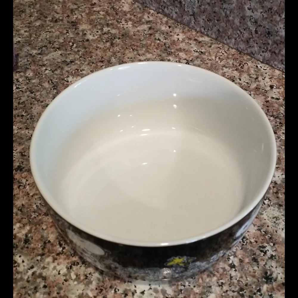 NEW Snoopy Floral food storage